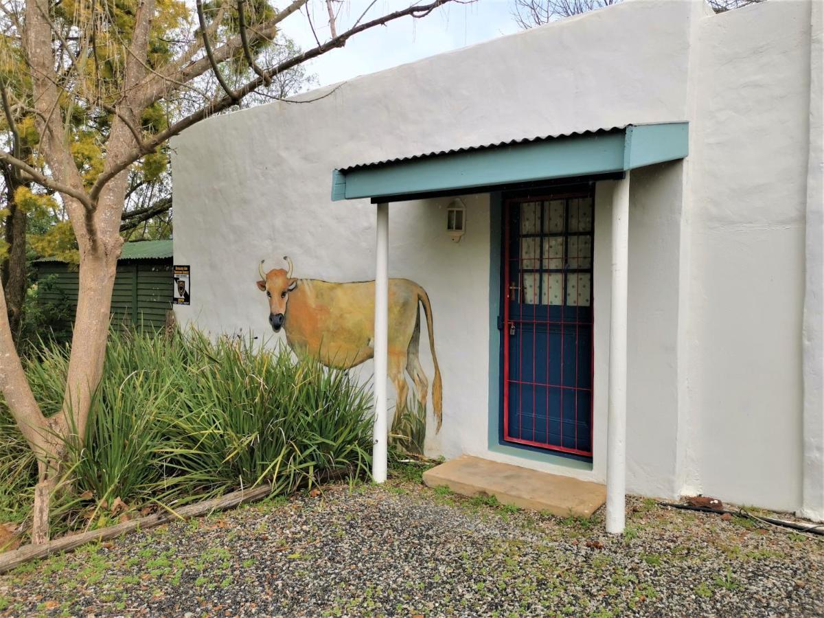 Hôtel Studio Frangipani Solar Powered à Greyton Extérieur photo